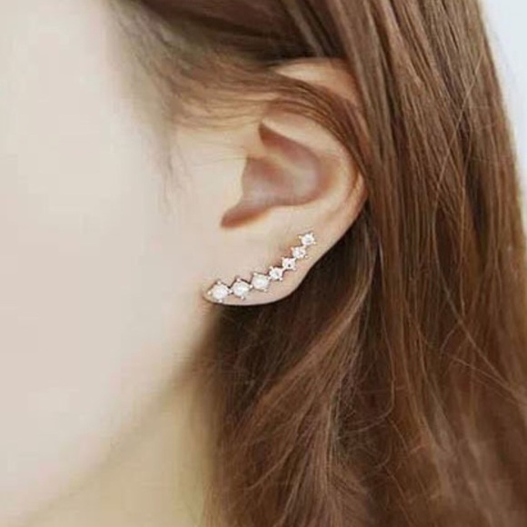 Sterling Silver (925) Crystal Climber Earrings - Picture 4 of 5